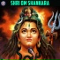 Ketan Patwardhan