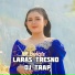 Ilfi Bulqis