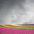 Tiago Griss