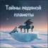 Святослав Савельев
