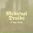 Medieval Druids