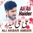 Ali Akbar Ameen