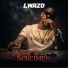 Lwazo