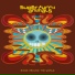 Super Furry Animals