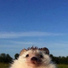 GRXMOV