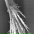 nitroasus