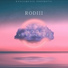 RODIII