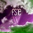 FS1E