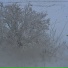 Мой персональный ансамбль им. Ю.К. Олеша