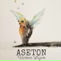 Aseton