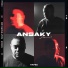 Amr Hafez feat. Salah Tayr