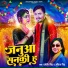 Dharamveer Singh, Ankita Singh