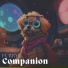 Pet Music