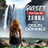 Zehra feat. Ogun Donmez