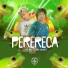 MC WL, Mc Aleff, dj alef da vr