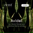 Avidel