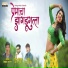 Vikas Salve, Sushil Pawar