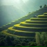 NATURE OF LIVE