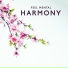 Chakra Cleansing Music Sanctuary