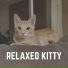Music For Cats