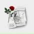 Casar