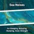 New Age, Ocean Sounds, Nature Sounds