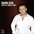 vasile grin