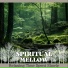 Spiritual Mellow