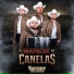 Los Austeros De Durango