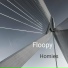 Floopy