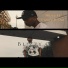 Blizzy G