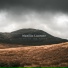 Manilio Lucente