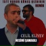 Nesimi Şamaxılı feat. Celil Eliyev
