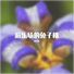 洛天依