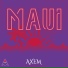 Axem