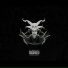 NXGXV