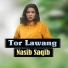 Nasib Saqib