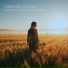 Anatolia Groove