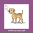 Dog Chill Out Music