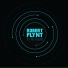 Robert Flynt