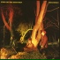Echo And The Bunnymen