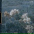 Òrain