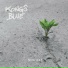 Kongô Blue