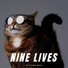 Music for Cats Peace