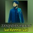 Saad Mahmmod Saadi