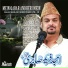 Amjad Fareed Sabri HamariWeb