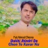 Faiz Ahmad Cheena