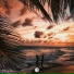 sunbvrn