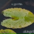 akingel