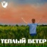 ДВМ